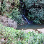 Waterfall next to Lyrebird Dell