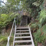 Stairs on Lyrebird Dell Track
