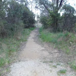 Leura Dirt Trail