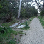 Leura Dirt Trail