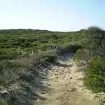 Cape Bailey Track