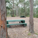 Banksia picnic area