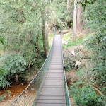 Suspension bridge over Narara creek