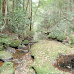 Narara creek