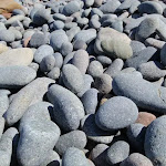 Rounded rocks on Crackneck beach