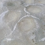 Texture and salt crust on the rocks