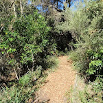 Norah Head nature trail