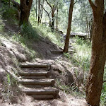 steps leading up into the Brisbane Waters National Park