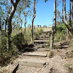 Steps on the track