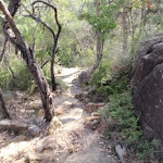 Rocky section of track east of Kariong Brook