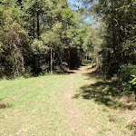 Old management trail