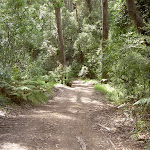 Graham Drive Track to Little Beach