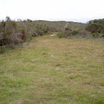 Grassy Clearing north of Bombi Headland