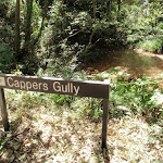 Cappers Gully