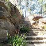 Steps below Ouraka Point