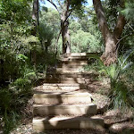 Stairs from Maitland Bay Information Centre