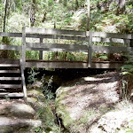Maitland Bay Track bridge