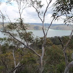 Looking over the Hawkesbury River