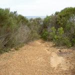 The top of Little Tallow spur track