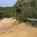 Tallow Beach and Box Head track intersection