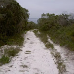 Sandy service trail between Bombi Point Track and Third Point Tracks