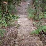 Steps down from picnic area