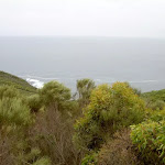 View from Bouddi Lookout