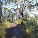 Walking track to Bulgandry site