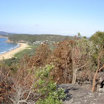 Putty Beach from Jacqueline Ave lookout