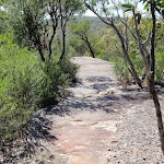 Path along the rock