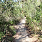 Path to Warrah Lookout