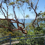 View to Barrenjoey