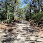 Trail north of Warrah Lookout