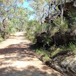 Trail near top of Patonga Track