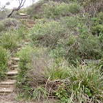 Track at Caves Gully