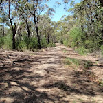 Trail near Warrah Lookout