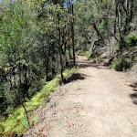 Steep gully on side of trail