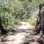 Sandstone cutting on side of trail