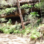 View of Pearl Caves from trail