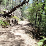 Trail above cave