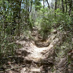 Track over spur to Gerrin Point