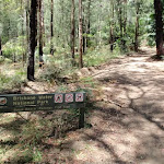 Pearl Beach / Patonga fire trail sign