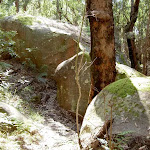 Track winding through boulders