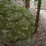 Turtle Shell Rock