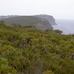 View from headland north of Bombi