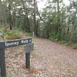 Top of Tommey Walk