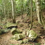 Mossy boulders on Valley on Waterman Walk