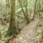 Timber path on Waterman Walk