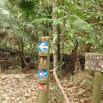 Track markers