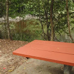 Table at Seymour Pond picnic area